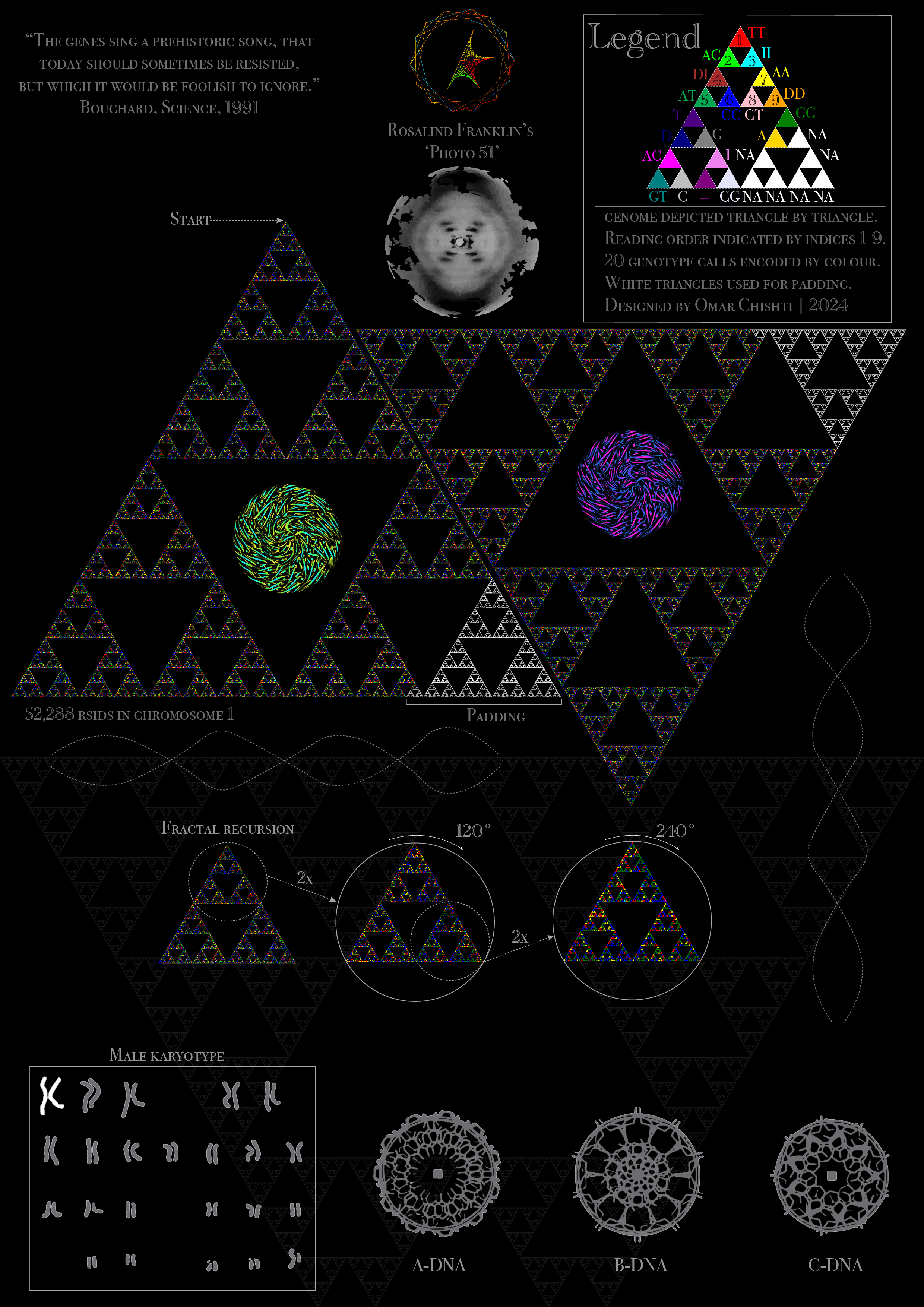 DNA Fractal